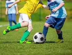 开云体育官,网平台,资讯,开云体育,开云体育官网,开云体育app,开云体育平台,KAIYUN,SPORTS,kaiyun登录入口