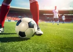 黄金管生烃,热模拟实验,规程,开云体育,开云体育官网,开云体育app,开云体育平台,KAIYUN,SPORTS,kaiyun登录入口