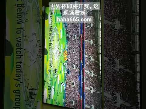 曼联逆袭冲,进前五,纽卡三连败,开云体育,开云体育官网,开云体育app,开云体育平台,KAIYUN,SPORTS,kaiyun登录入口