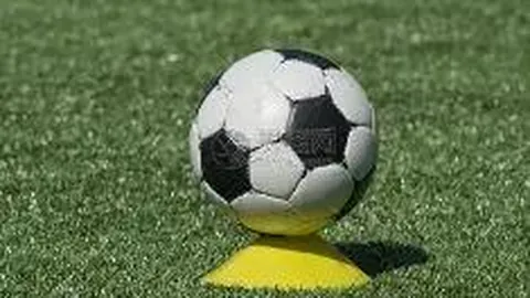 开云体育官网平台 资讯 131838 pe0