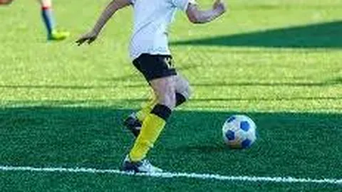 开云体育官网平台 产品 110346 ecw