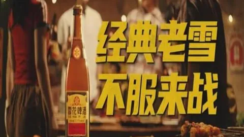 开云体育官网，开云入口，平台 140045 0